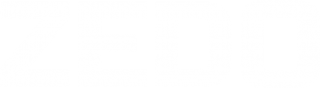 Zedo