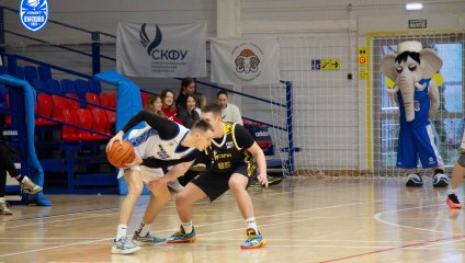 «Южный слон-СКФУ» уступил гостям из Курска на домашнем паркете