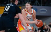 «Лисицы» в концовке дожали курское «Динамо»